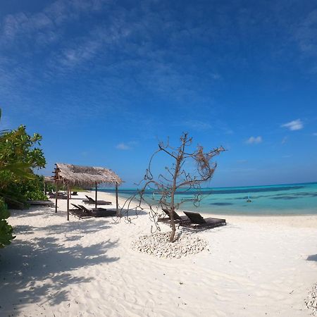 Shamar Guesthouse&Dive Maamigili Eksteriør billede
