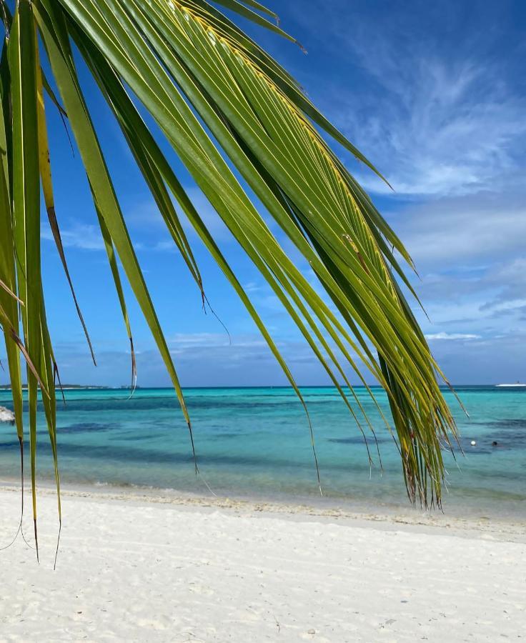 Shamar Guesthouse&Dive Maamigili Eksteriør billede