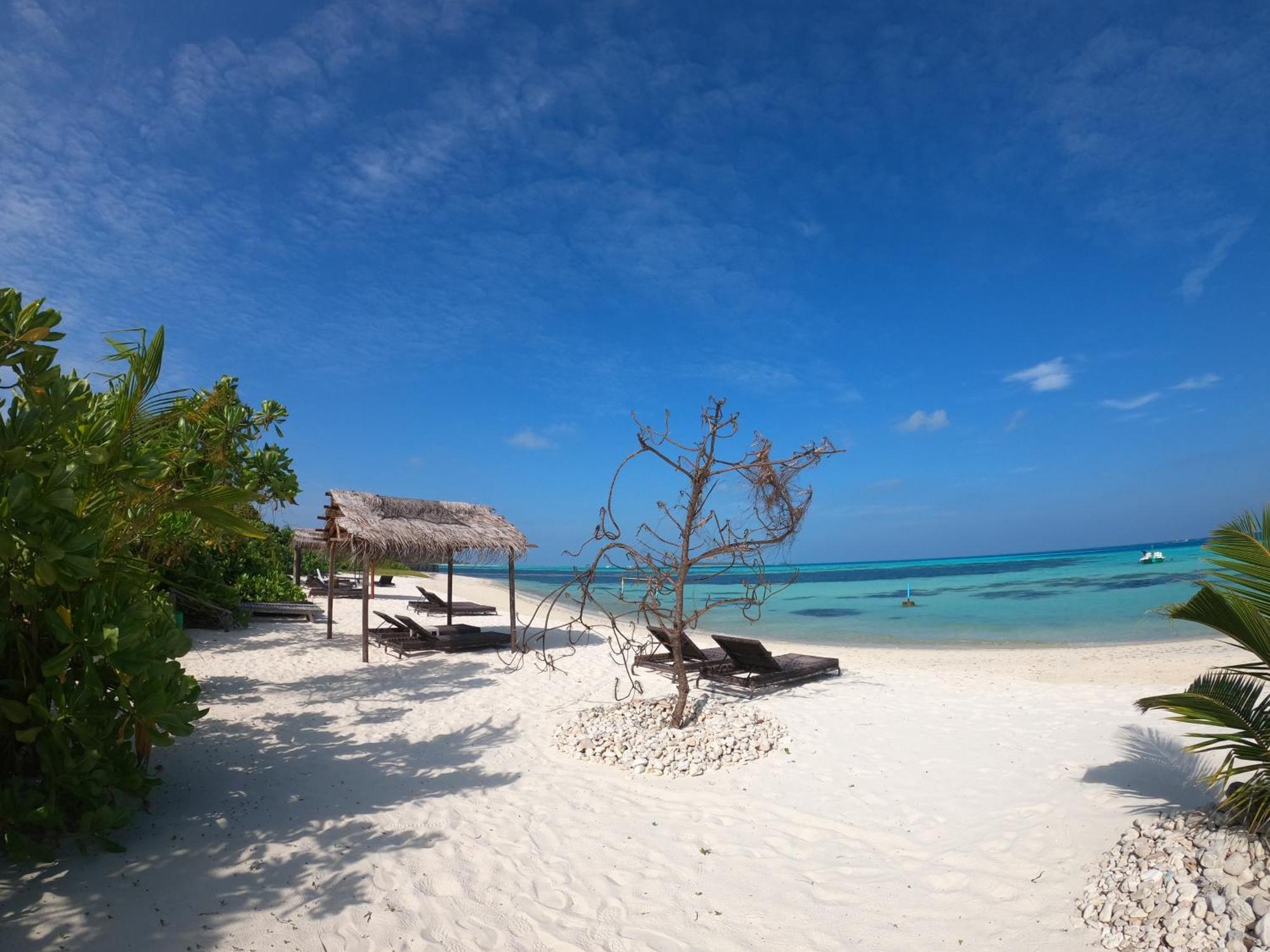 Shamar Guesthouse&Dive Maamigili Eksteriør billede